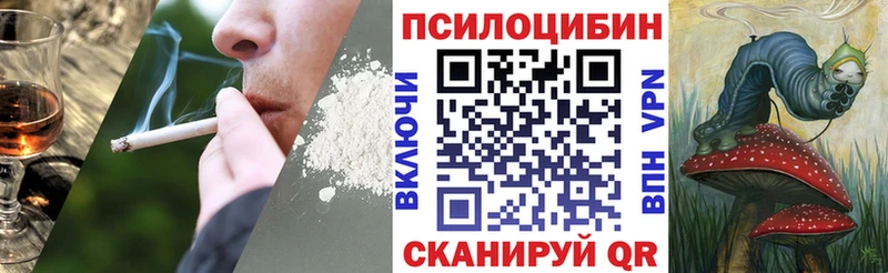 купить наркоту  Волоколамск  Галлюциногенные грибы Psilocybe 